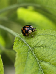 Similar image 22424164