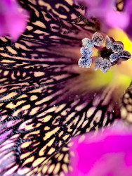 Similar image 22424301