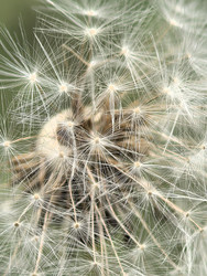 Similar image 22424302