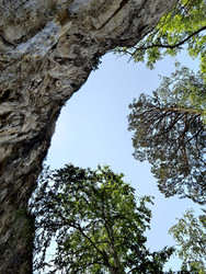 Similar image 22424303