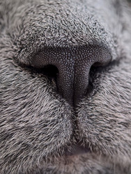 Similar image 22424304