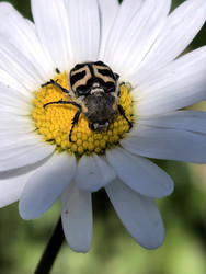 Similar image 22424305