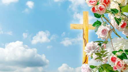 Similar image 22443898