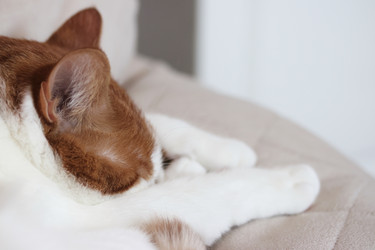 Similar image 22404663