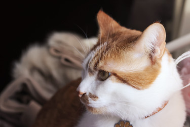 Similar image 22404665