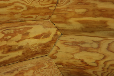 Similar image 22404666