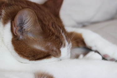 Similar image 22404673