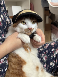 Similar image 22404675