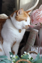 Similar image 22404676