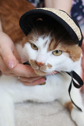 Similar image 22404677