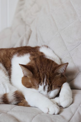 Similar image 22409953