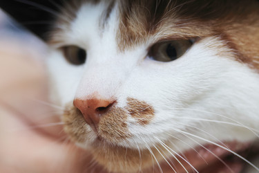 Similar image 22409956