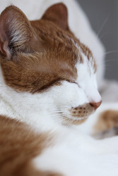 Similar image 22409957