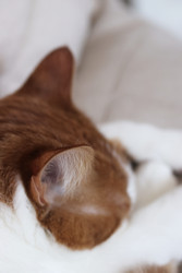 Similar image 22409959