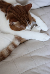 Similar image 22409960