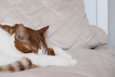 Similar image 22409961