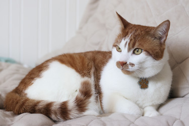 Similar image 22409964