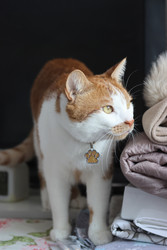 Similar image 22409965