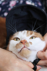 Similar image 22409966