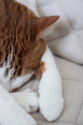 Similar image 22409967