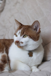 Similar image 22409979