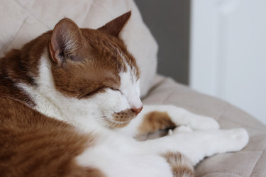 Similar image 22409980