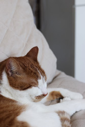 Similar image 22409982