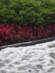 Similar image 22416519