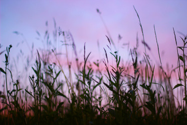 Similar image 22416538