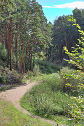 Similar image 22415408