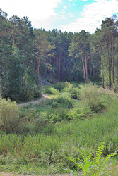 Similar image 22415425