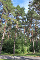 Similar image 22415431