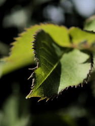 Similar image 22424307