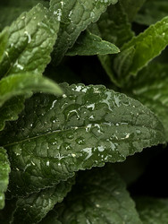 Similar image 22424308