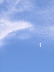 Similar image 22424311