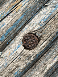 Similar image 22424312