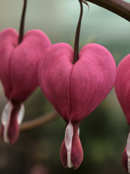 Similar image 22424314