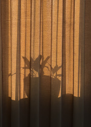 Similar image 22424315