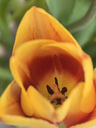 Similar image 22424321