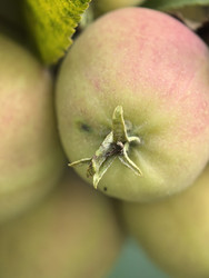 Similar image 22424322