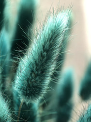 Similar image 22424323