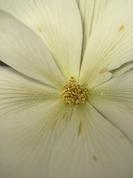 Similar image 22424324