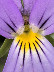 Similar image 22424326