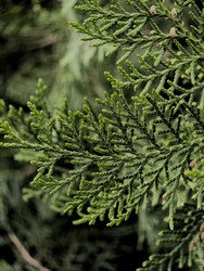 Similar image 22424327