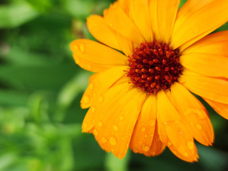 Similar image 22424328