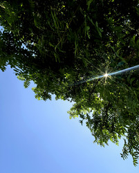 Similar image 22424329