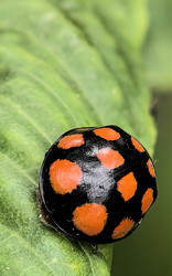 Similar image 22424330