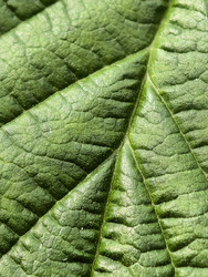 Similar image 22424332