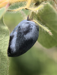 Similar image 22424334