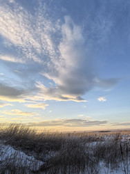 Similar image 22424336